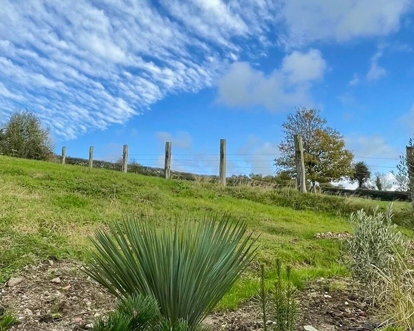 4c6bf633-1304-4d34-a5d0-2704f7be6b61 2 (1)